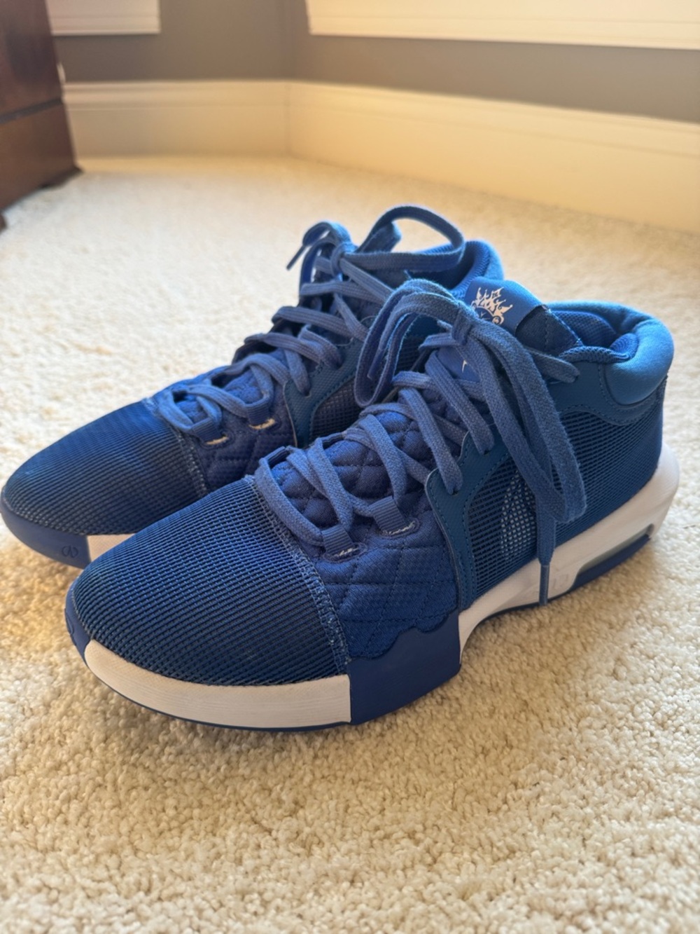 Men's Nike LeBron Witness VIII Basketball Shoes - worn on the court only